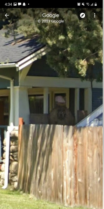 "Привид мого будинку справжній". Жінка побачила на картах Google істоту, що живе з нею багато років